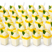 Lemon Panna Cotta