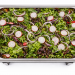 Radish and Red Onion Salad
