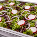 Radish and Red Onion Salad